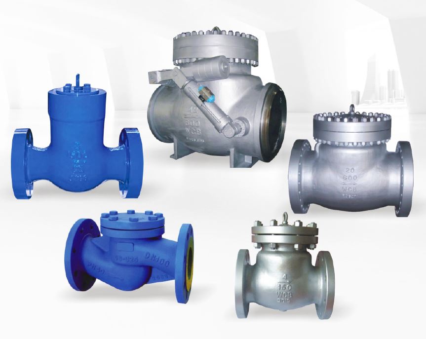 Check Valve Series