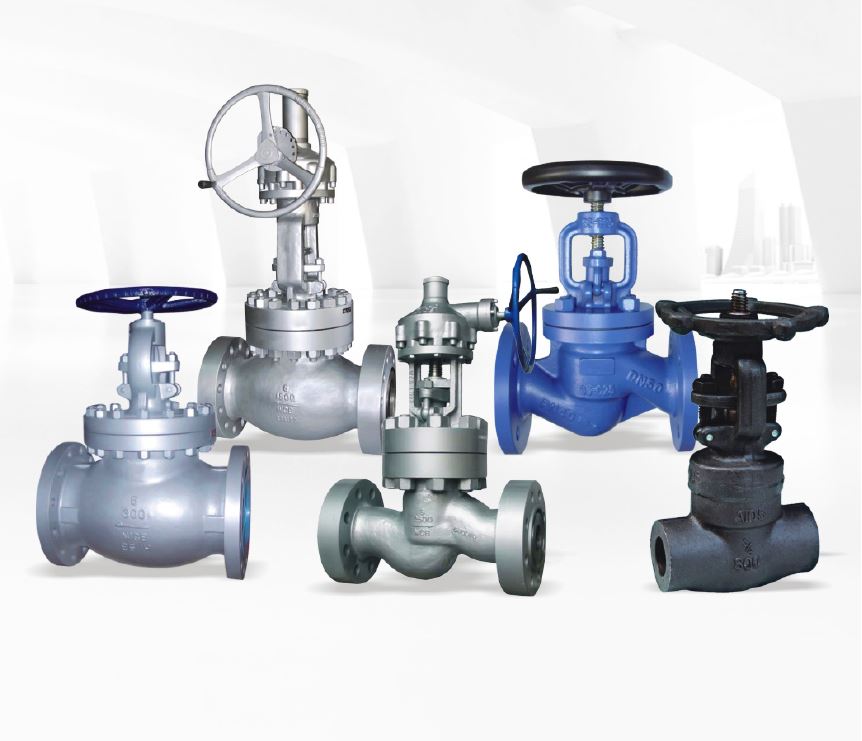 Globe Valve Series